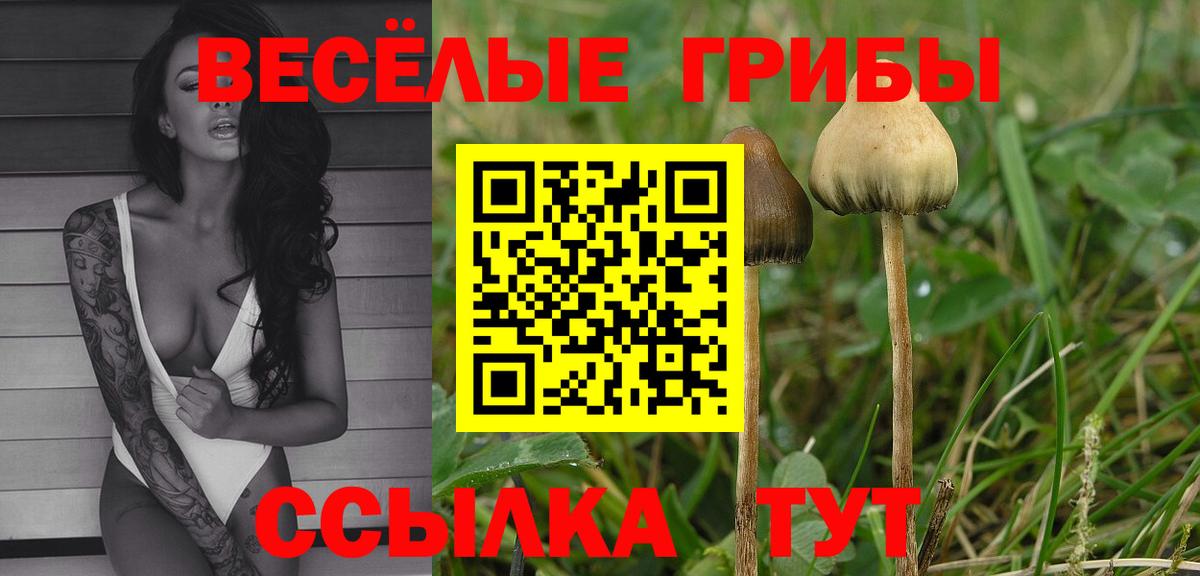 Галлюциногенные грибы Psilocybe  Вход с VPN  Галлюциногенные грибы мицелий  Ликино-Дулёво 